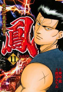 鳳 (11) 電子書籍版