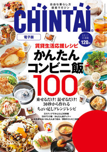 CHINTAI電子版 2017年11月号 電子書籍版