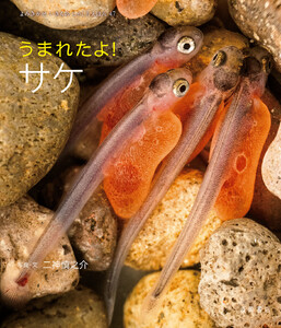 うまれたよ! サケ 電子書籍版