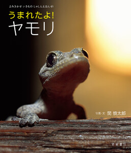 うまれたよ! ヤモリ 電子書籍版