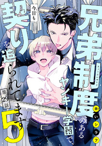 兄弟制度のあるヤンキー学園で、今日も契りを迫られてます #29 電子書籍版