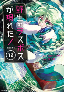 野生のラスボスが現れた! 黒翼の覇王12【電子書店共通特典イラスト付】
