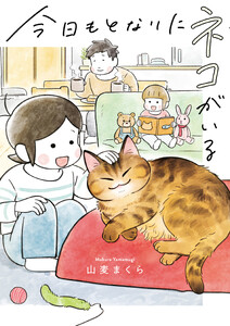 今日もとなりにネコがいる