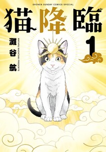猫降臨 (1)