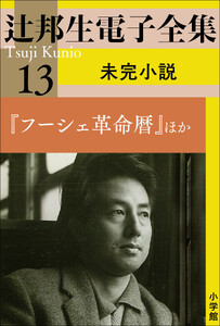 辻邦生電子全集 13巻 未完小説『フーシェ革命暦』ほか 電子書籍版