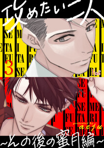 攻めたい二人~その後の蜜月編~(フルカラー) (3) 電子書籍版