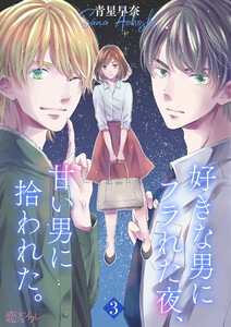 好きな男にフラれた夜、甘い男に拾われた。 (3) 電子書籍版