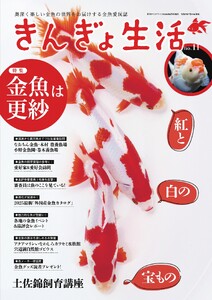 きんぎょ生活 No.11 電子書籍版
