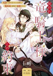 呪われ竜騎士様との約束～冤罪で国を追われた孤独な魔術師は隣国で溺愛される～【分冊版】 10話