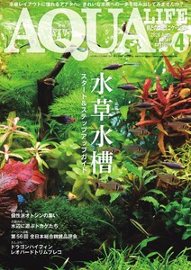 アクアライフ 2026年4月号