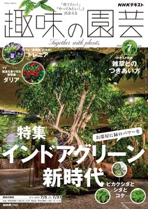 NHK 趣味の園芸 2026年7月号