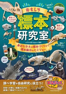 おもしろ標本研究室 身近なホネの標本づくりから標本展示のヒミツまで