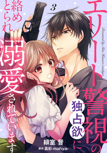 エリート警視の独占欲に絡めとられ溺愛されています【分冊版】3話 電子書籍版