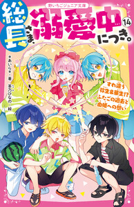 総長さま、溺愛中につき。14 すれ違う弥生&華生!? ふたごの過去と由姫への想い 電子書籍版