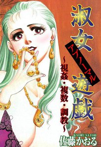 淑女アブノーマル遊戯~視姦・複数・調教~