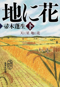 天に星 地に花 下 電子書籍版