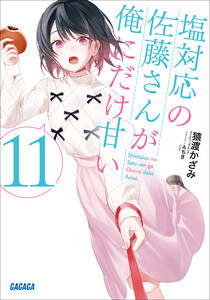 塩対応の佐藤さんが俺にだけ甘い 11 電子書籍版