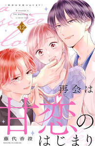 再会は甘恋のはじまり 分冊版 (12) 電子書籍版