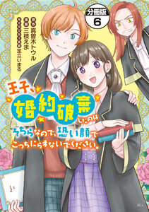 王子、婚約破棄したのはそちらなので、恐い顔でこっちにらまないでください。 分冊版 (6) 電子書籍版