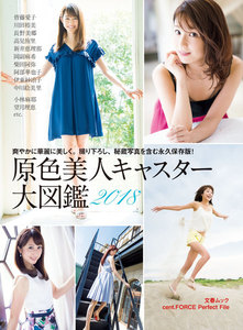原色美人キャスター大図鑑2018 cent.FORCE Perfect File【デジタル原色美女図鑑】