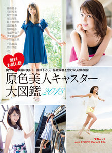 原色美人キャスター大図鑑2018 cent.FORCE Perfect File【デジタル原色美女図鑑】