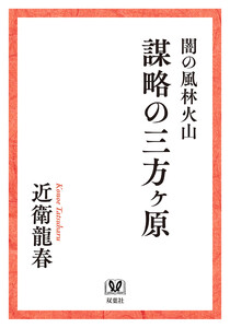 闇の風林火山 謀略の三方ヶ原 電子書籍版