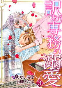 訳あり専務の溺愛~寝取られた私でいいのでしょうか?~3 電子書籍版