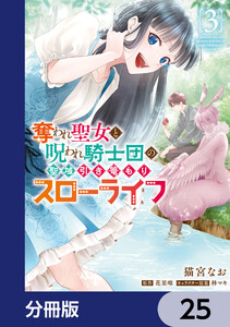 奪われ聖女と呪われ騎士団の聖域引き篭もりスローライフ【分冊版】 25 電子書籍版