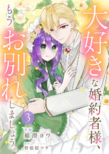 大好きな婚約者様、もうお別れしましょう。【電子単行本版/特典おまけ付き】 (3)