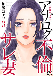 ふたつのちぶさ～アナログ不倫のサレ妻～(3)
