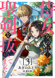 侍女なのに...聖剣を抜いてしまった!【3】 電子書籍版