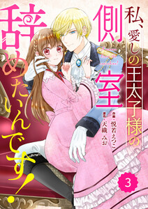 Berry’sFantasy私、愛しの王太子様の側室辞めたいんです!3巻 電子書籍版