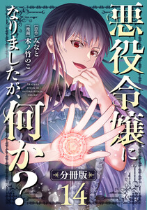 悪役令嬢になりましたが、何か?【分冊版】14