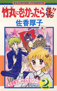 竹丸にむかったら礼 電子書籍版