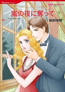 嵐の夜に奪って (分冊版)11話 電子書籍版