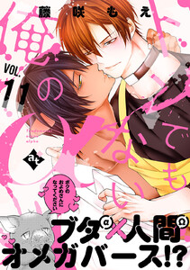 トンでもない俺のα VOL.11 電子書籍版