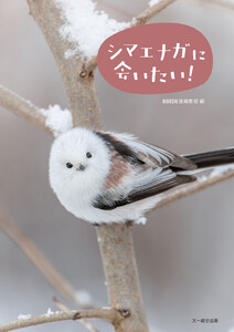 シマエナガに会いたい!