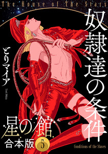 星の館【合本版】5巻 奴隷達の条件 電子書籍版