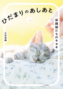 ひだまりのあしあと 保護猫たちのキセキ