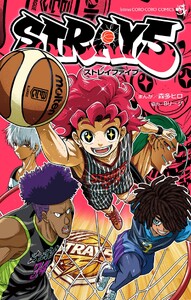 STRAY5