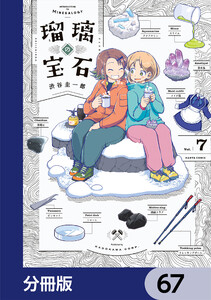 瑠璃の宝石【分冊版】 67 電子書籍版