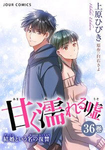 甘く濡れる嘘～結婚という名の復讐～ : 36
