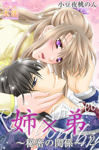 姉×弟~秘密の関係~【コミックス版】(電子限定描き下ろし付き)