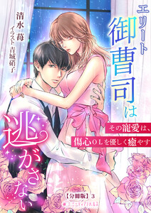 エリート御曹司は逃がさない～その寵愛は、傷心OLを優しく癒やす～【分冊版】3 電子書籍版