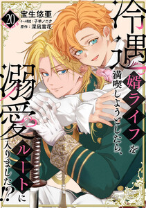 冷遇婿ライフを満喫しようとしたら、溺愛ルートに入りました!? (20)