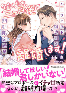 わたしたち、三ヶ月後に離婚します!~パーフェクト御曹司と期間限定婚~