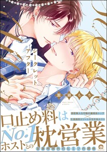 シークレットアフター【再編集版】 【電子限定かきおろし漫画2P付】 電子書籍版