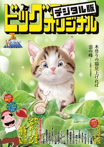 ビッグコミックオリジナル増刊 2025年7月増刊号(2025年6月12日発売) 電子書籍版