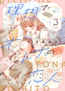 理想でオトナの恋人【合冊版】 3 電子書籍版