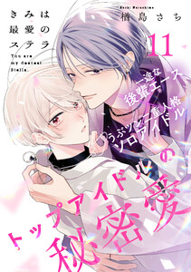 きみは最愛のステラ (11)